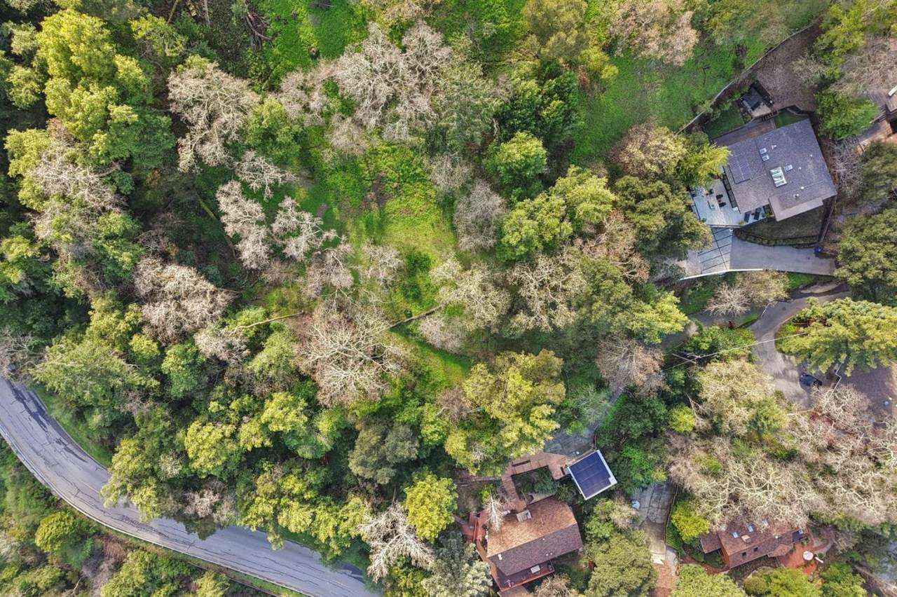 145 Foxwood Road Rd - Photo 1