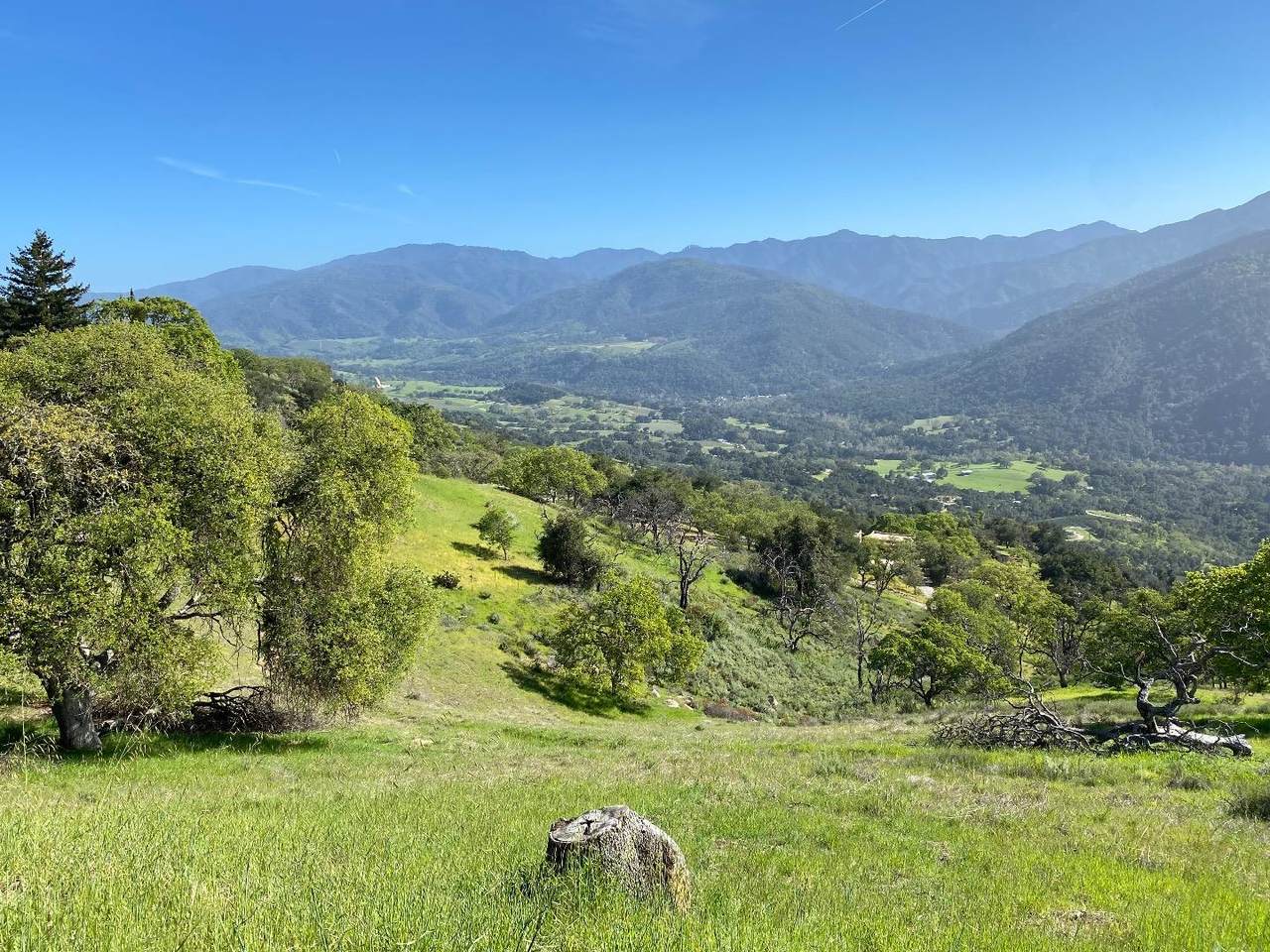 35180 Sky Ranch Rd - Photo 1