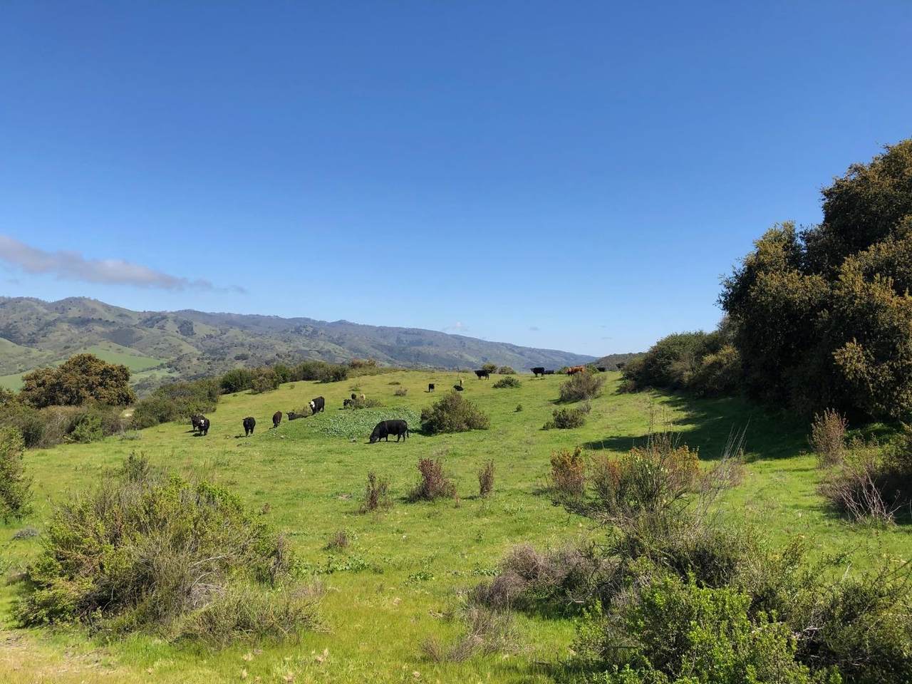 Indian Creek Ranch, 36000 Carmel Valley Rd - Photo 1