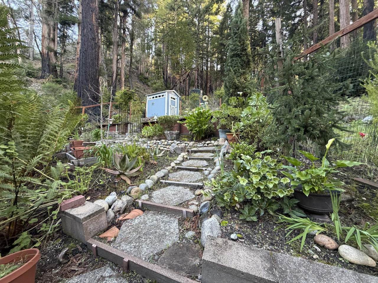 535 Burnside Bnd - Photo 1