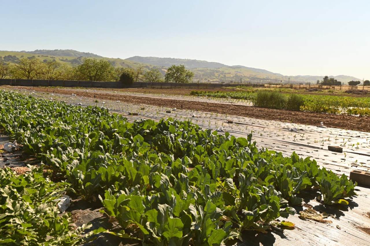 1600 Barrett Ave - Photo 1