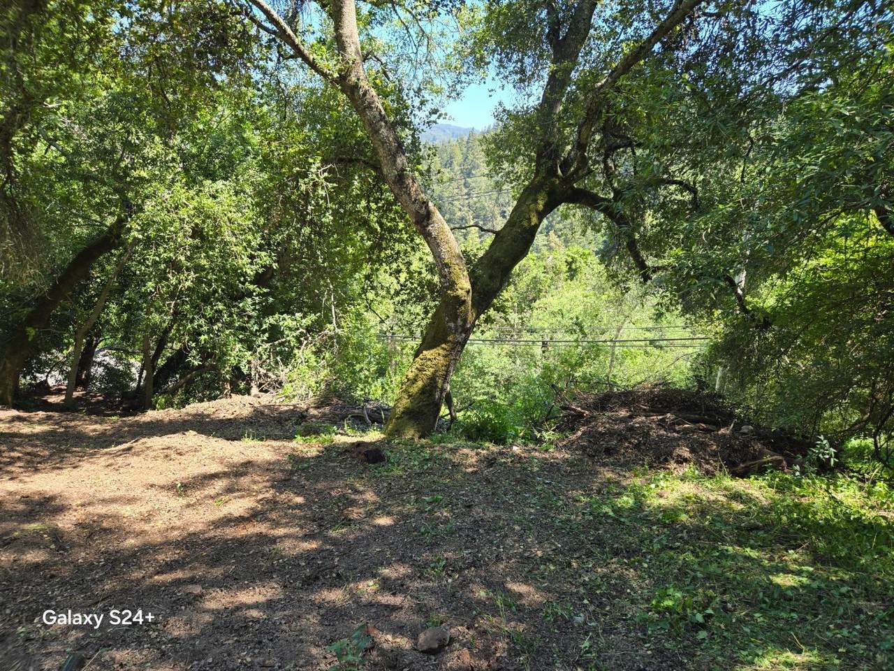 Old Santa Cruz Hwy - Photo 1