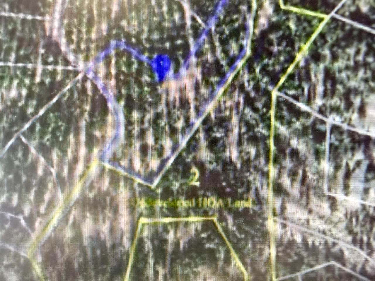 976 Moon Shadow - Photo 1