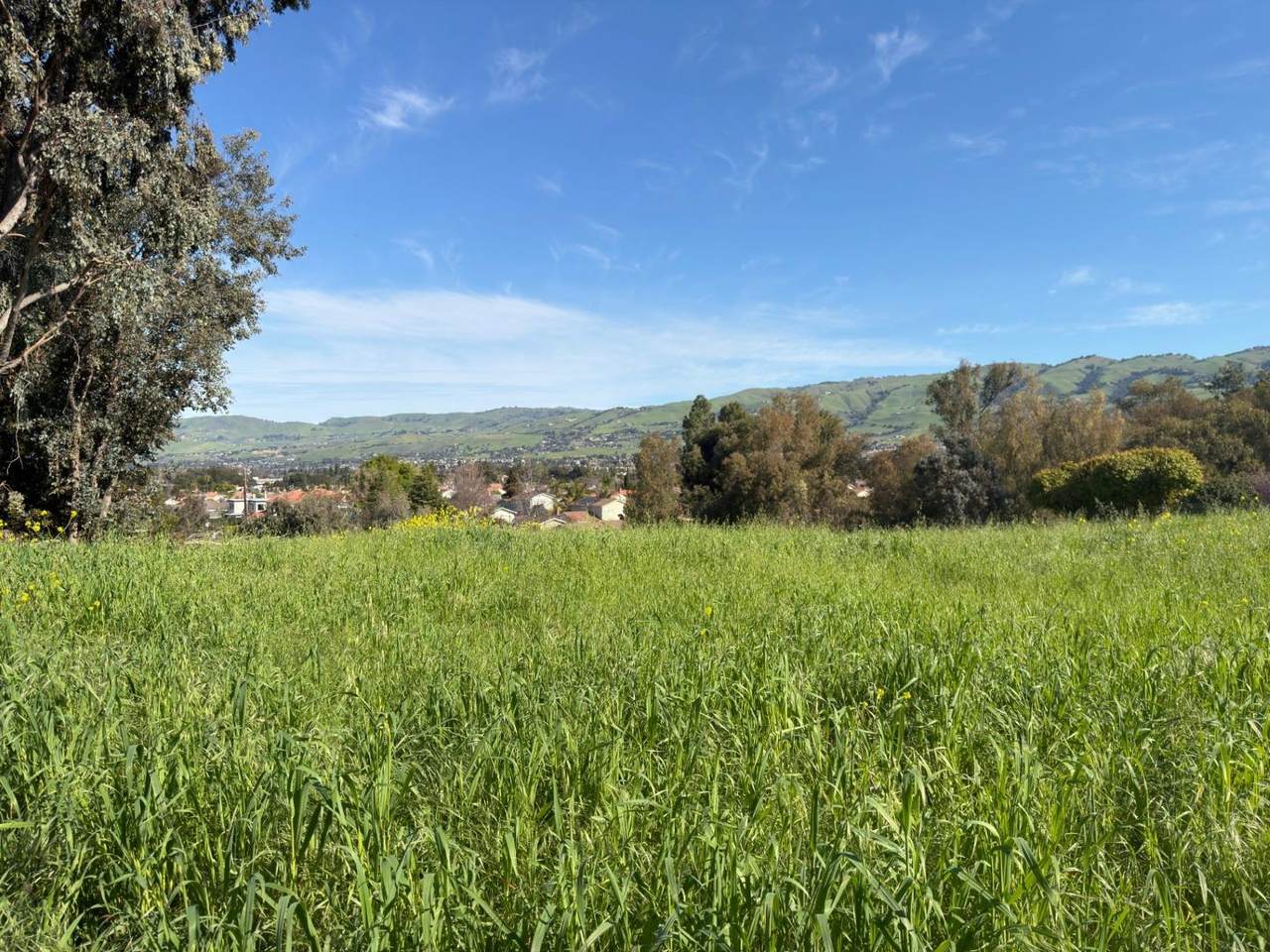 https://bt-photos.global.ssl.fastly.net/siliconv/1280_boomver_1_82042589-2.jpg