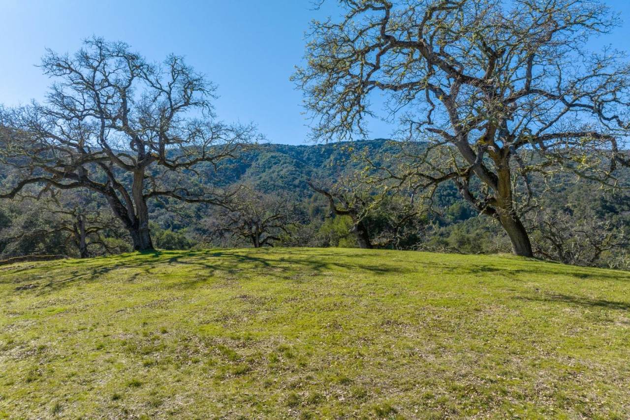 25 Arroyo Sequoia (Lot 108) - Photo 1