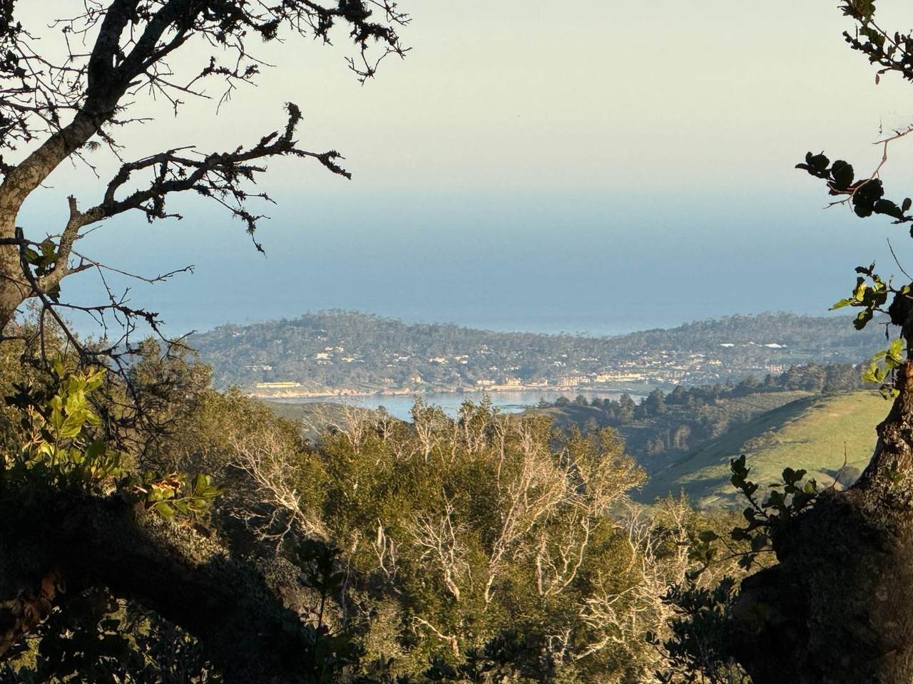13 Cantera (Lot 185) Run - Photo 1