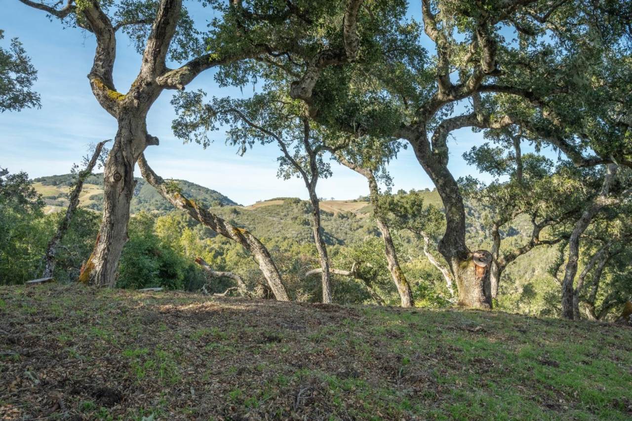 5 Vasquez (Lot 170) Trl - Photo 1