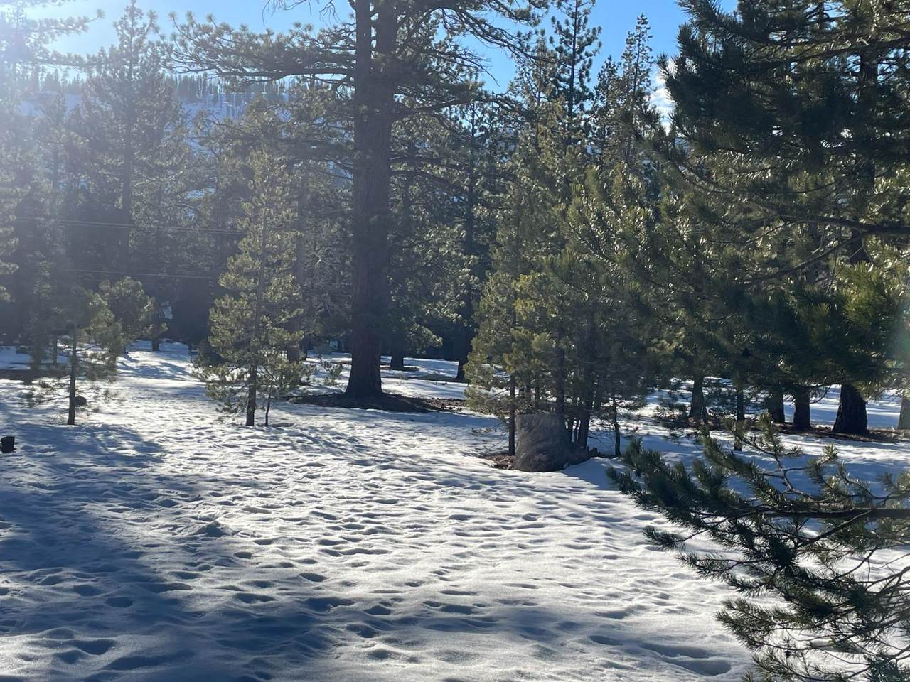 2510 Blitzen Rd - Photo 1
