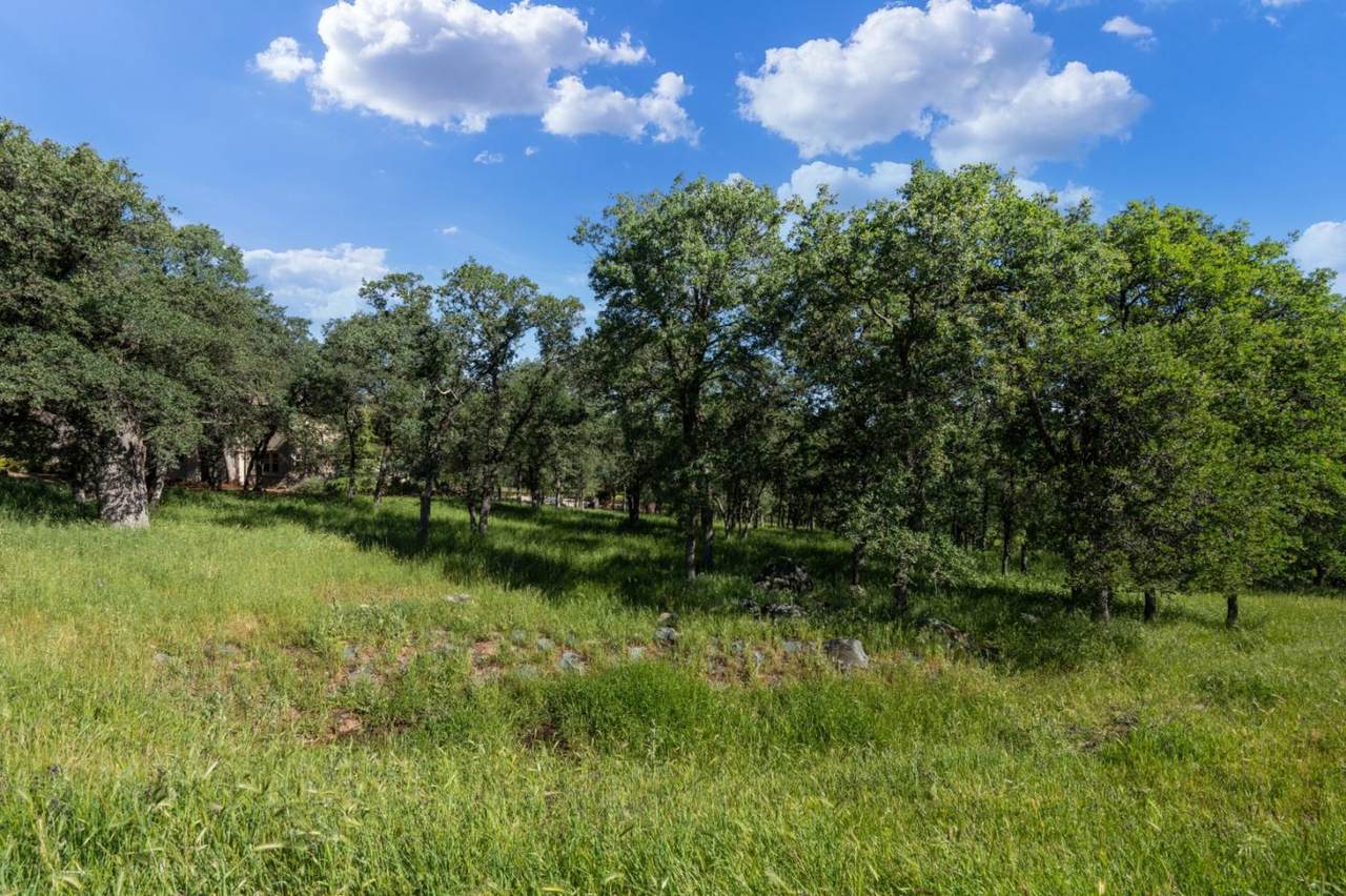 9916 Spyglass Cir - Photo 1