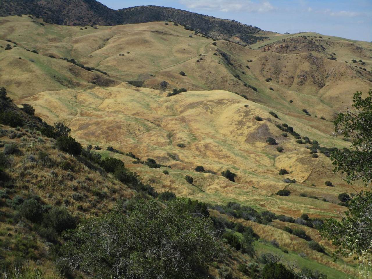 0 New Idria Rd - Photo 1