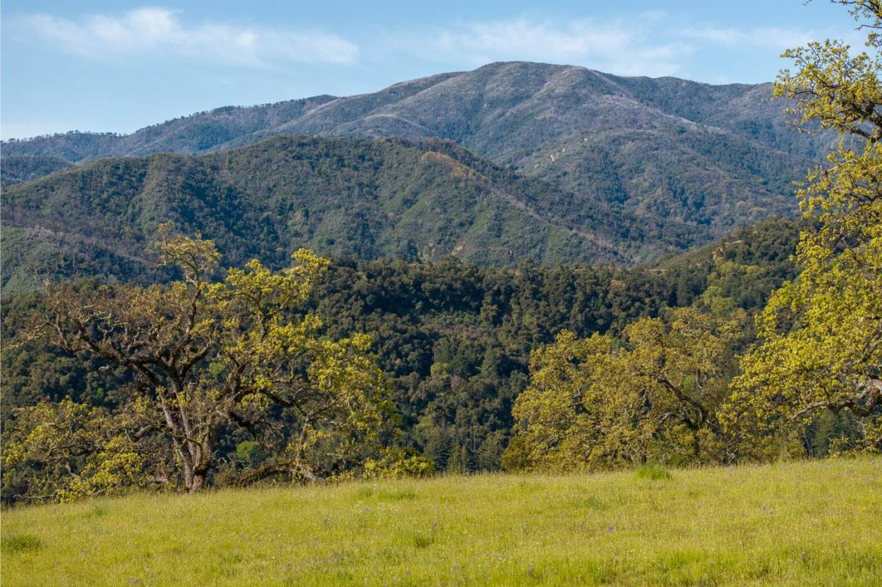 16 Long Ridge Trail (Lot 233) - Photo 1