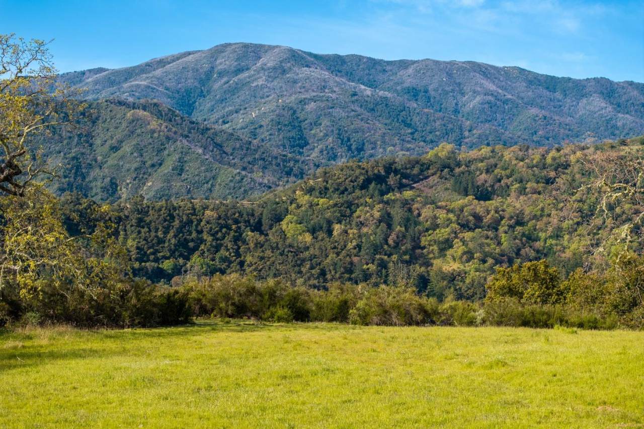 14 Long Ridge Trail (Lot 232) - Photo 1