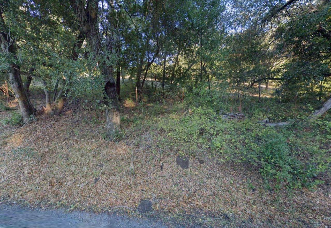 0 Hwy 9 - Photo 1