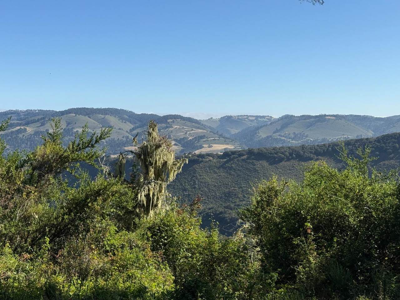 6 Rancho San Carlos (Lot E10) Rd - Photo 1