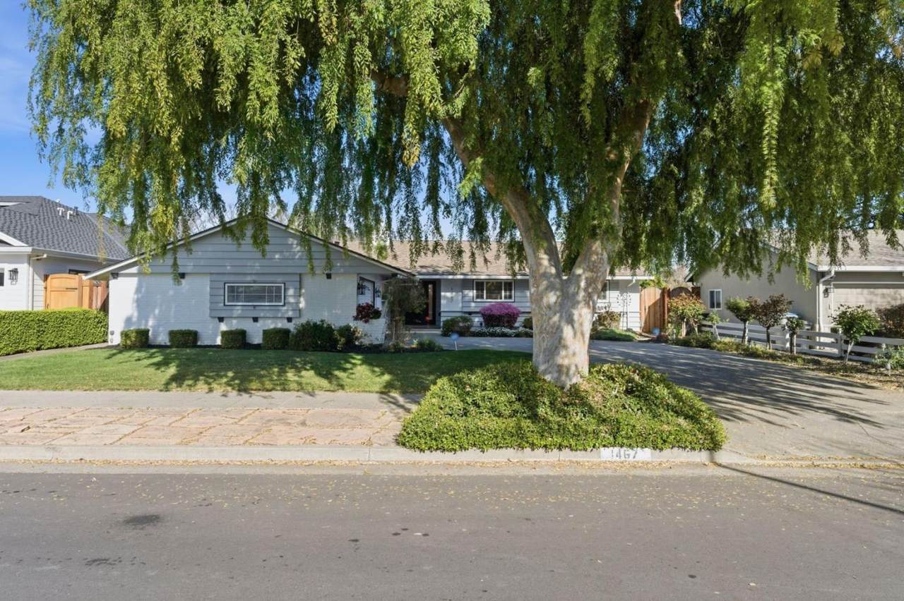 1467 Kiner Ave - Photo 1