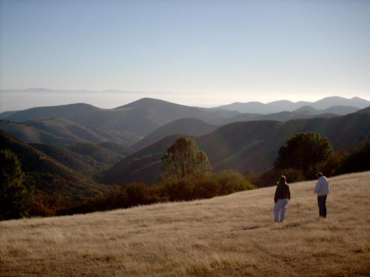 00 Pine Canyon - Photo 1
