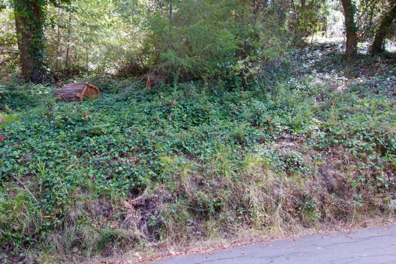 131 Shelden Rd - Photo 1