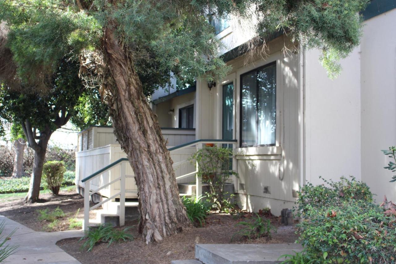 237 Silver Leaf Dr B - Photo 1