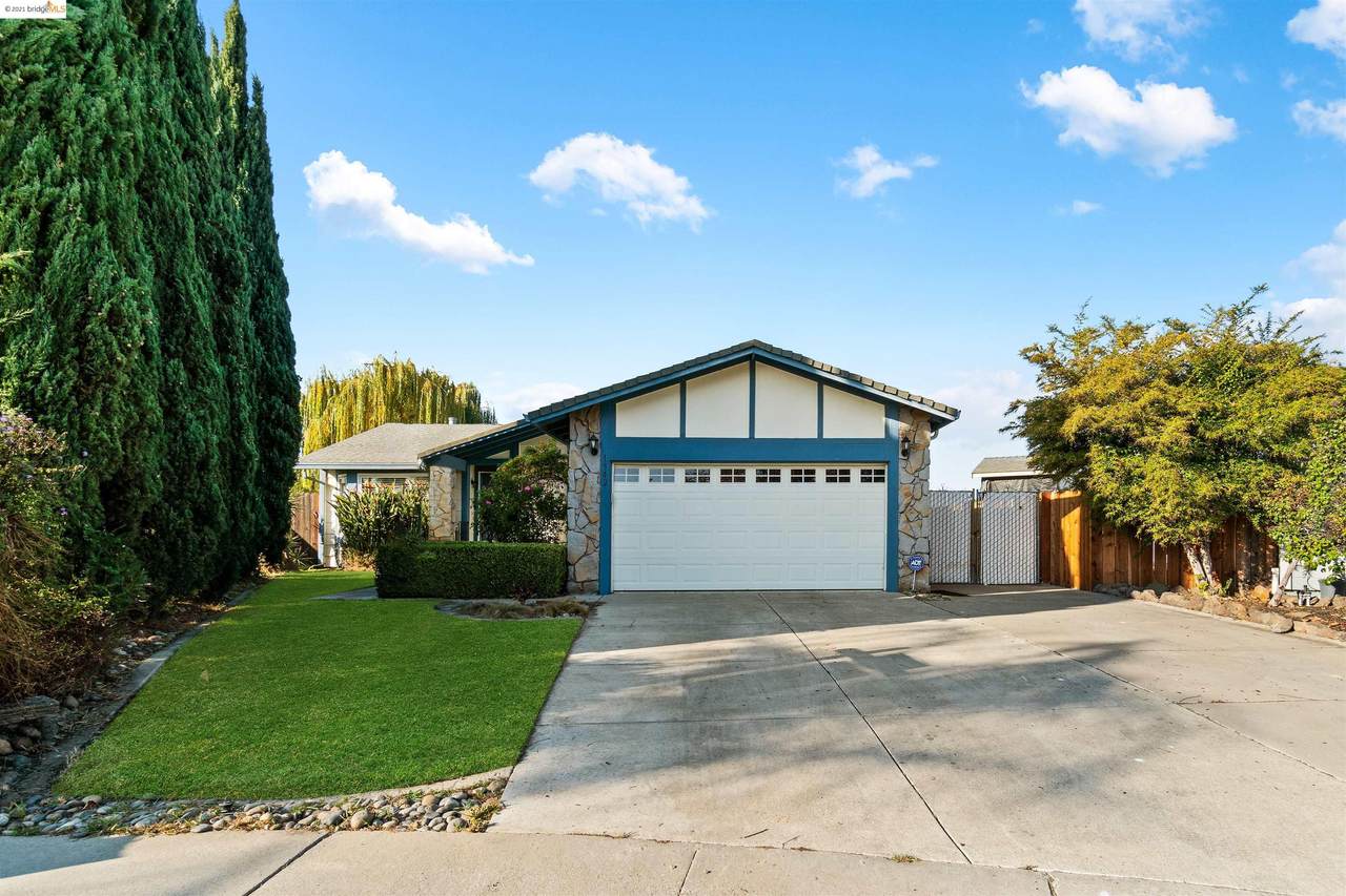 1542 Camelia Ct - Photo 1