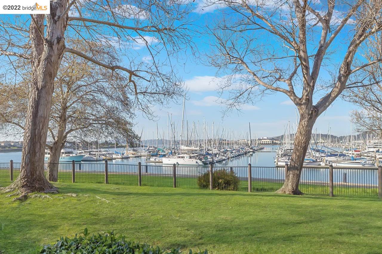 165 Shoreline Ct - Photo 1