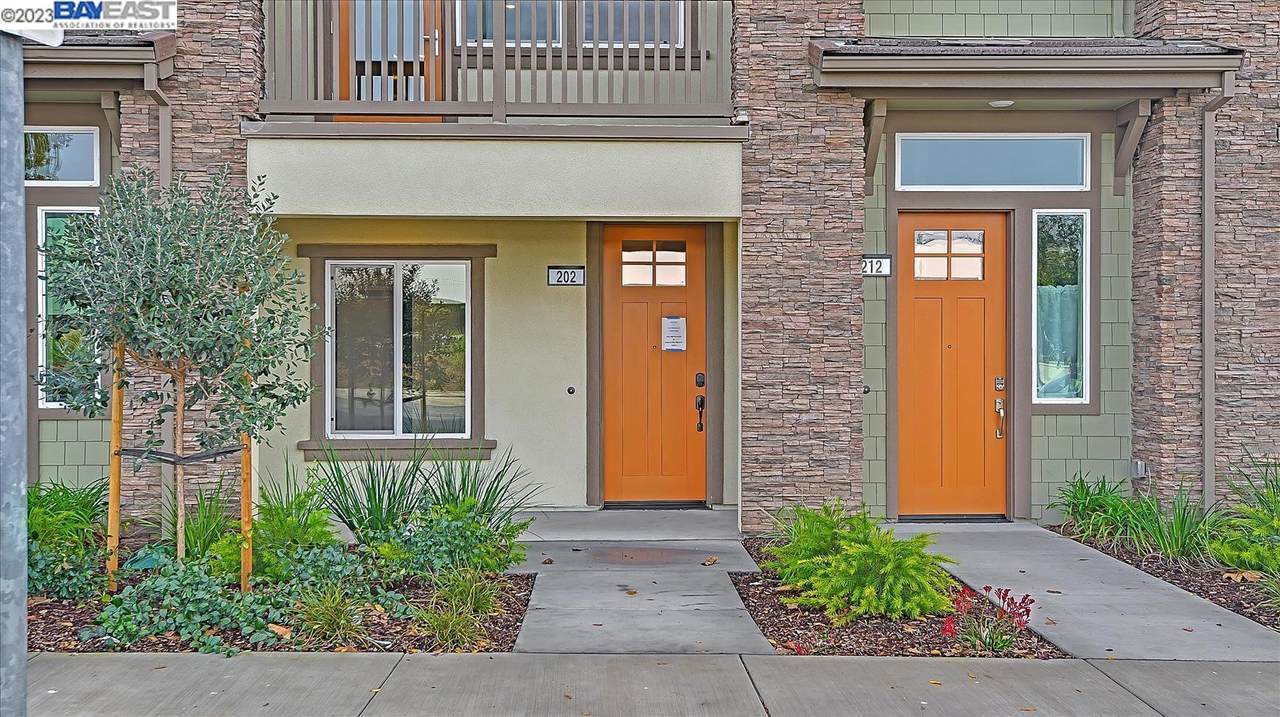 202 Mission Falls Lane - Photo 1