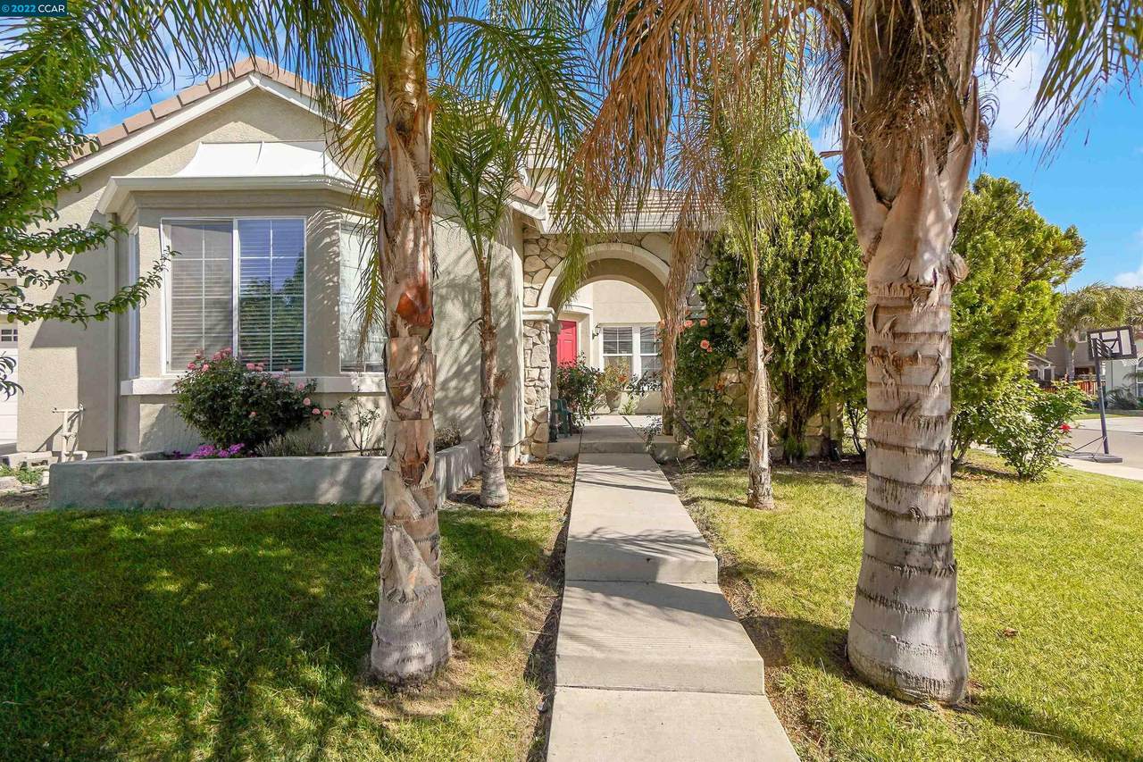 2541 Wyman Way - Photo 1