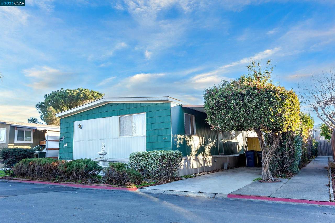 337 Melanie Dr - Photo 1
