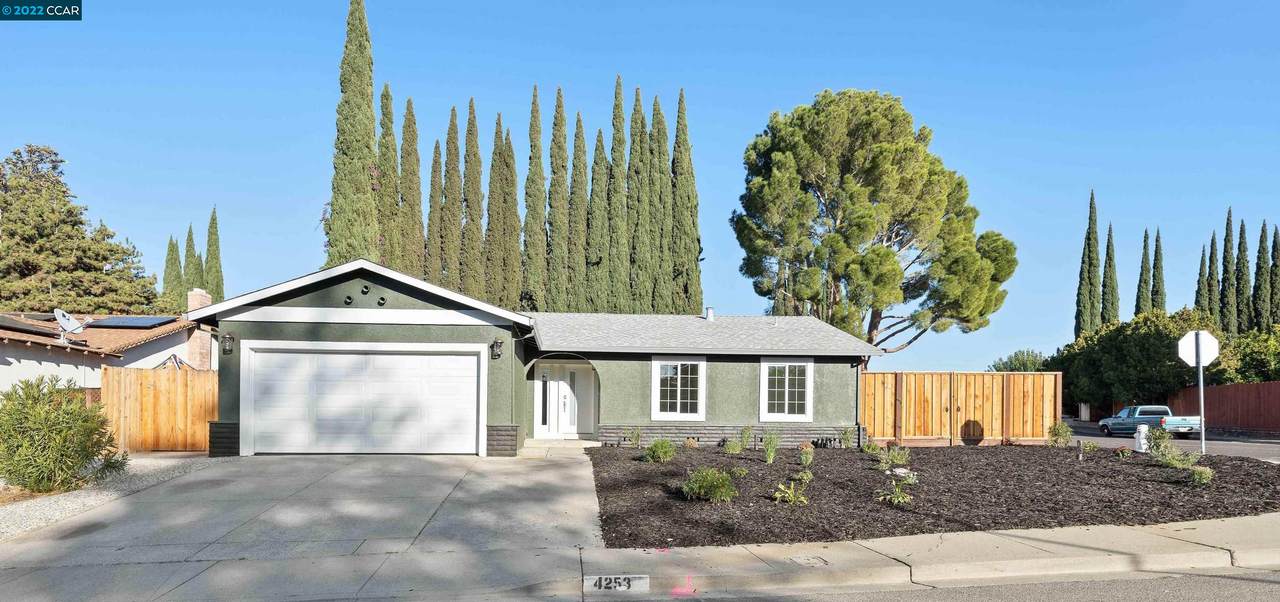 4253 Palo Verde - Photo 1