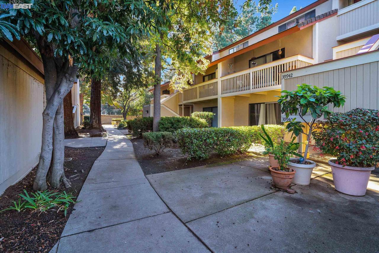 39940 Fremont Blvd 6 - Photo 1