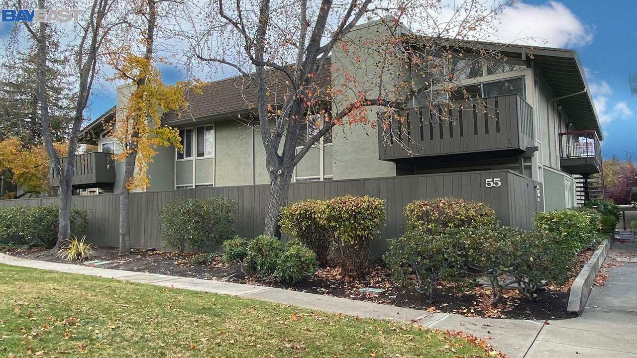 55 Massolo Dr H - Photo 1