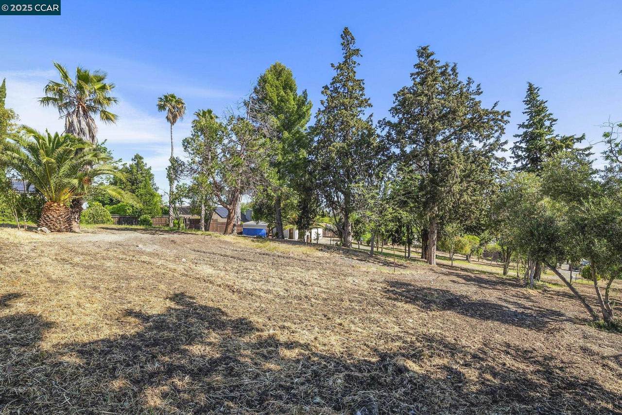 1051 Tilley Cir - Photo 1