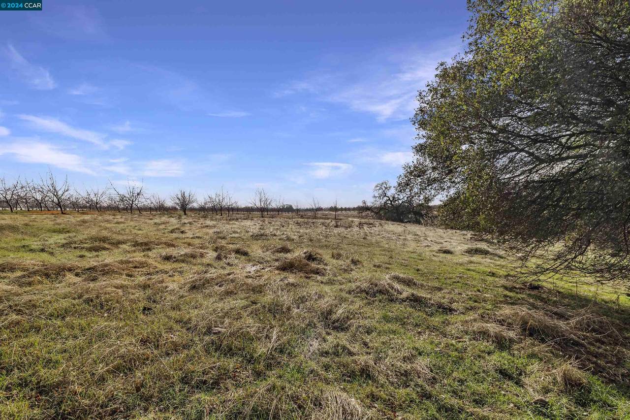 1 Pacific Heights - Photo 1