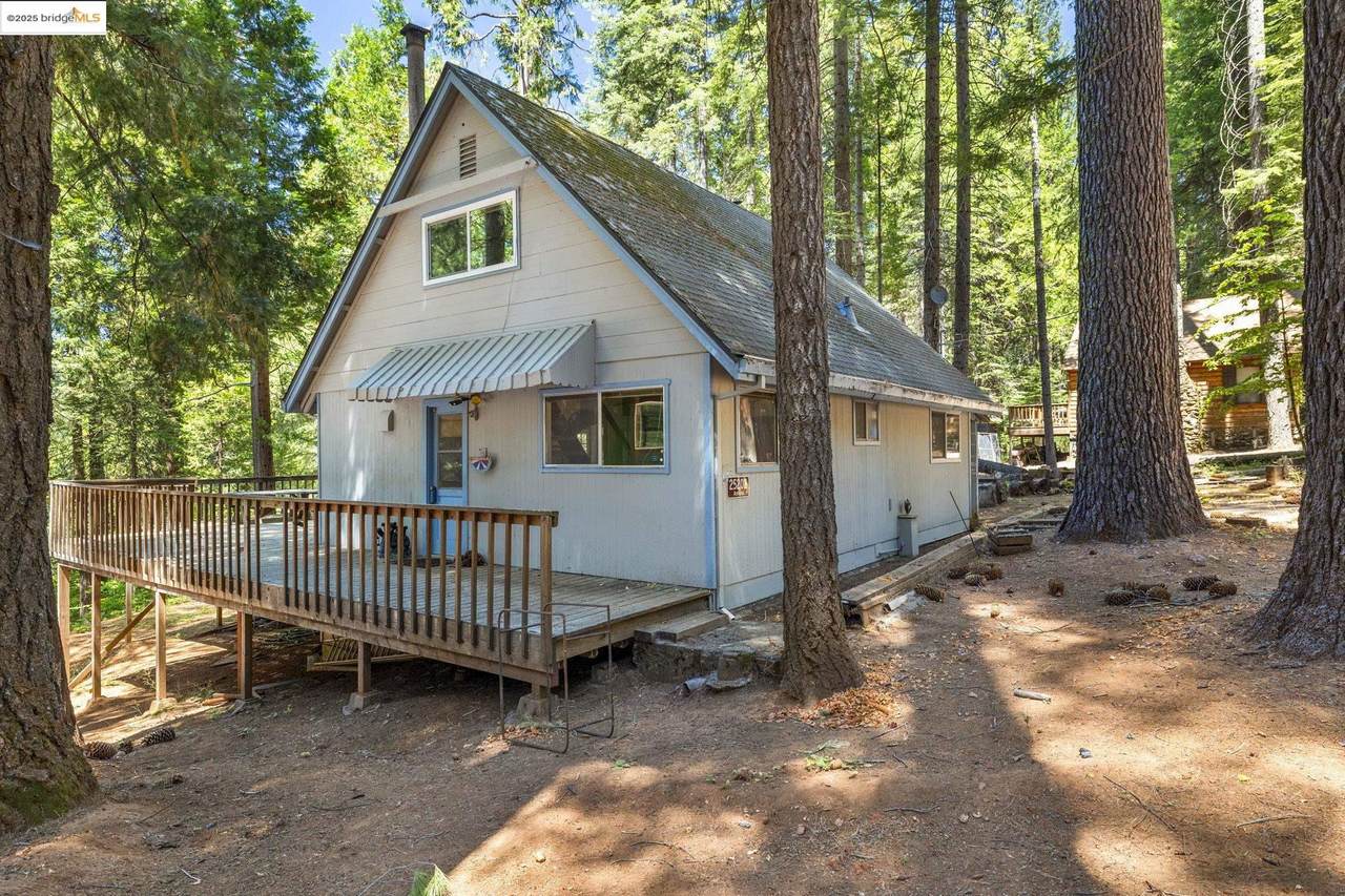 25202 Abraham - Photo 1