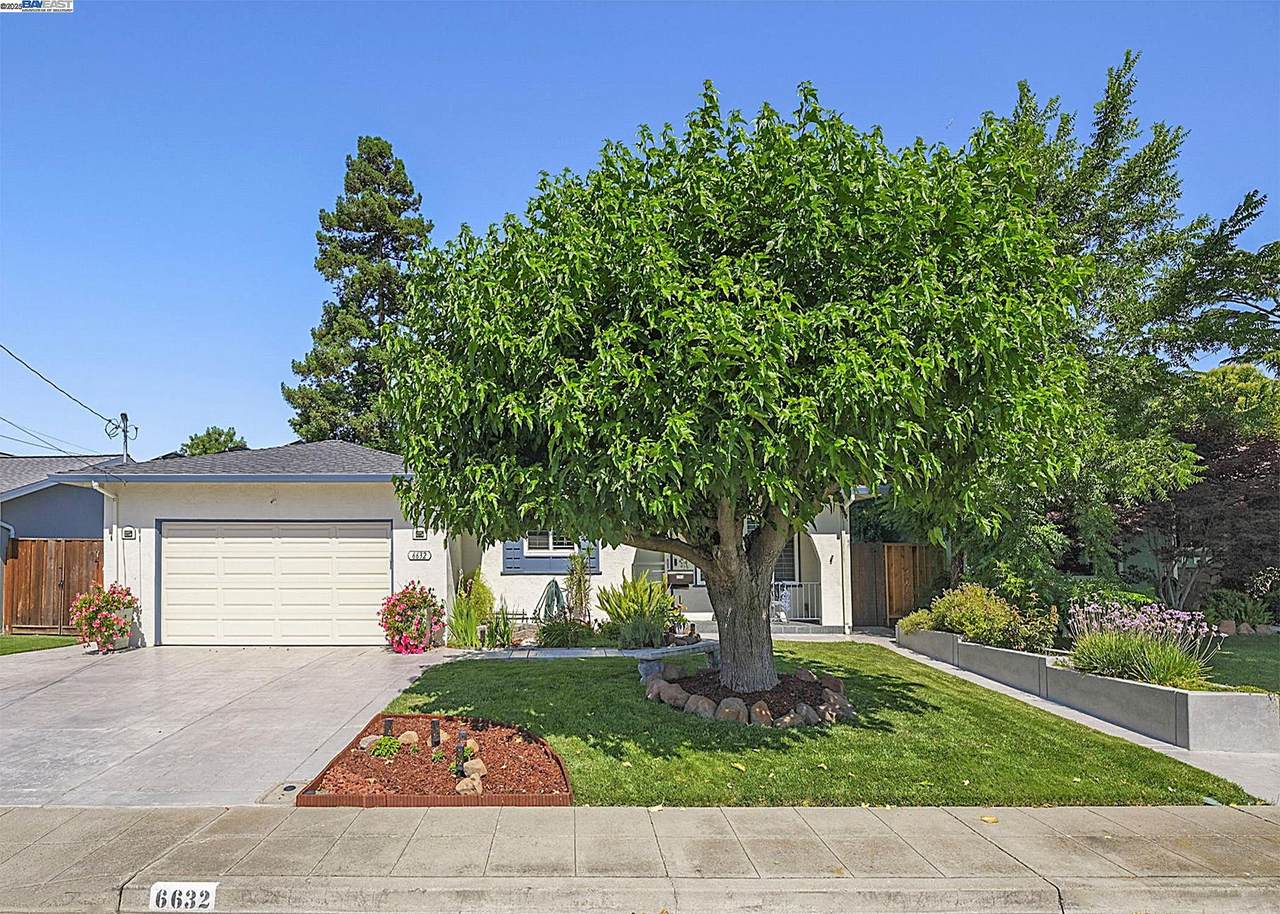 6632 Spruce Ln - Photo 1