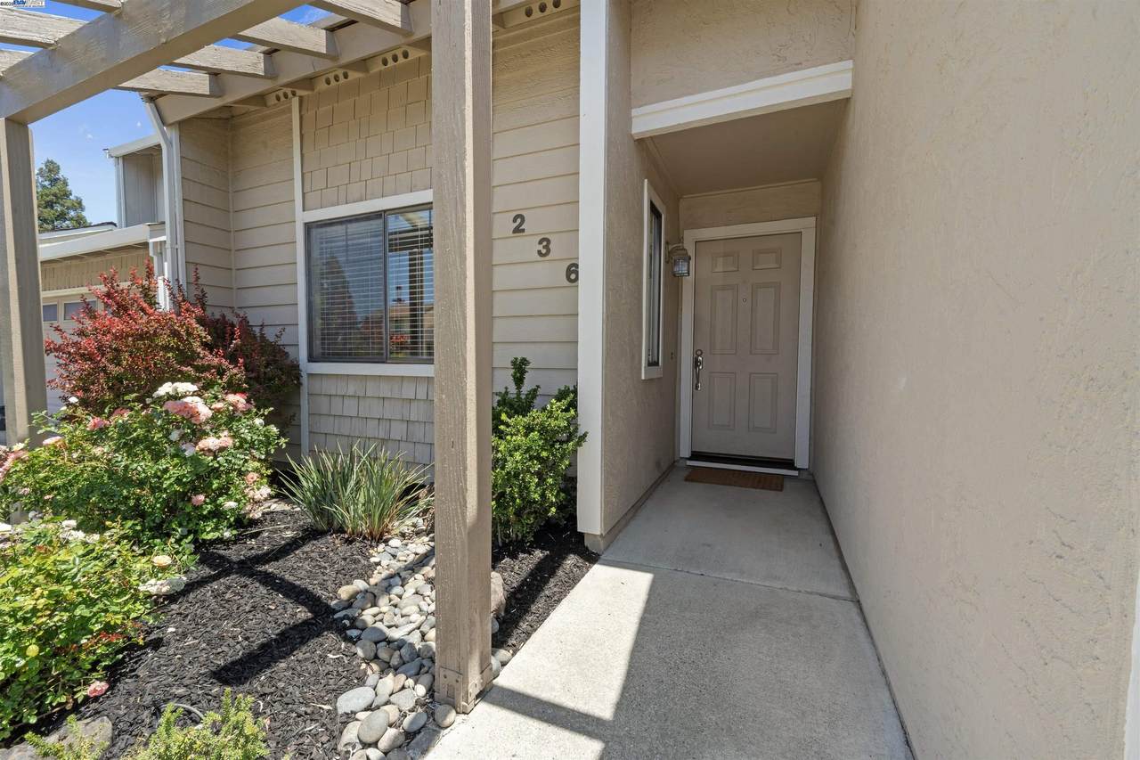 236 Tomas Way - Photo 1