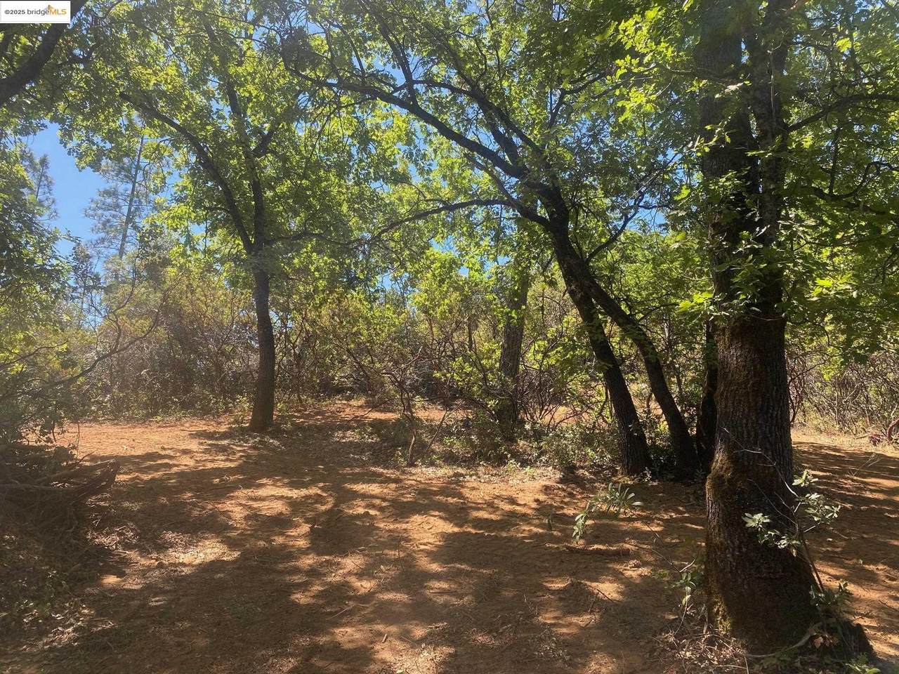 1636 Nickerson - Photo 1