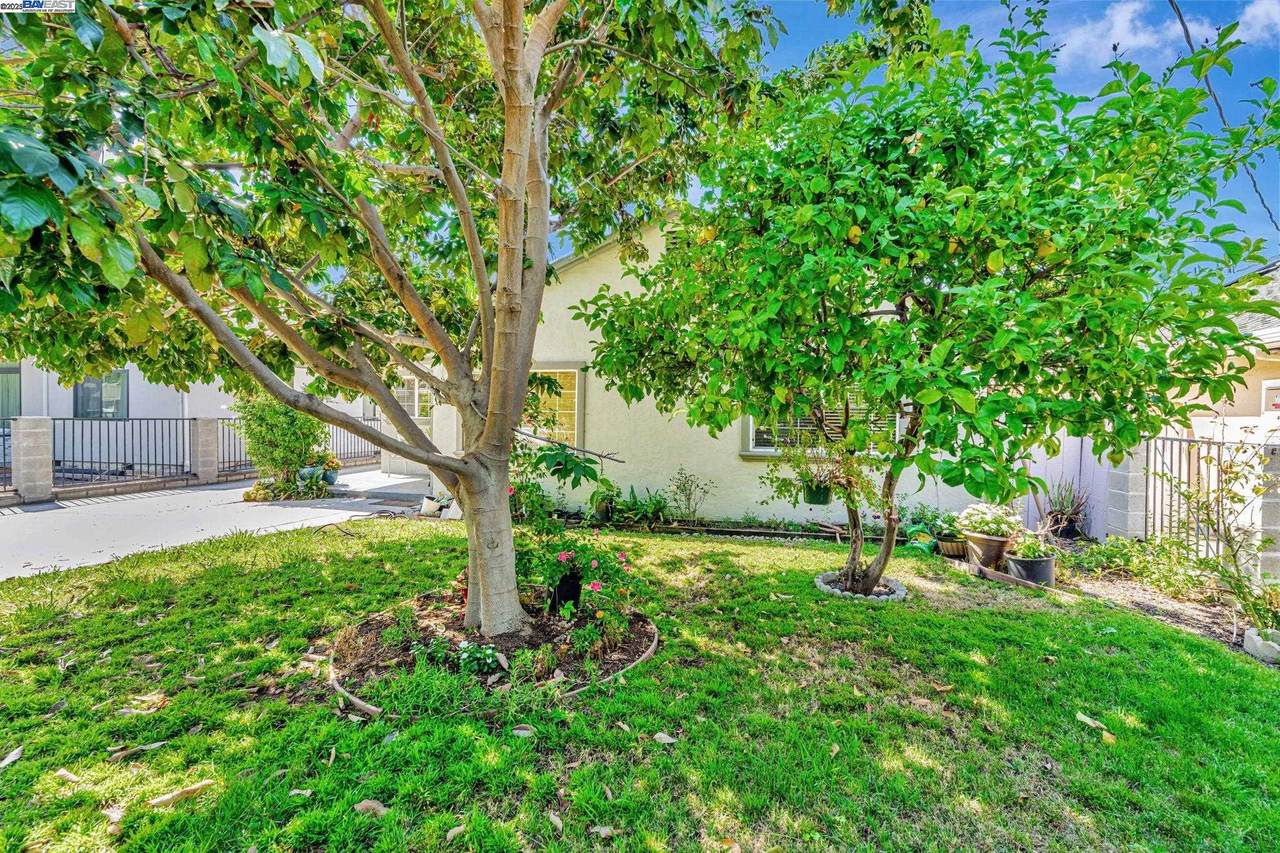 1127 Madera Ave - Photo 1