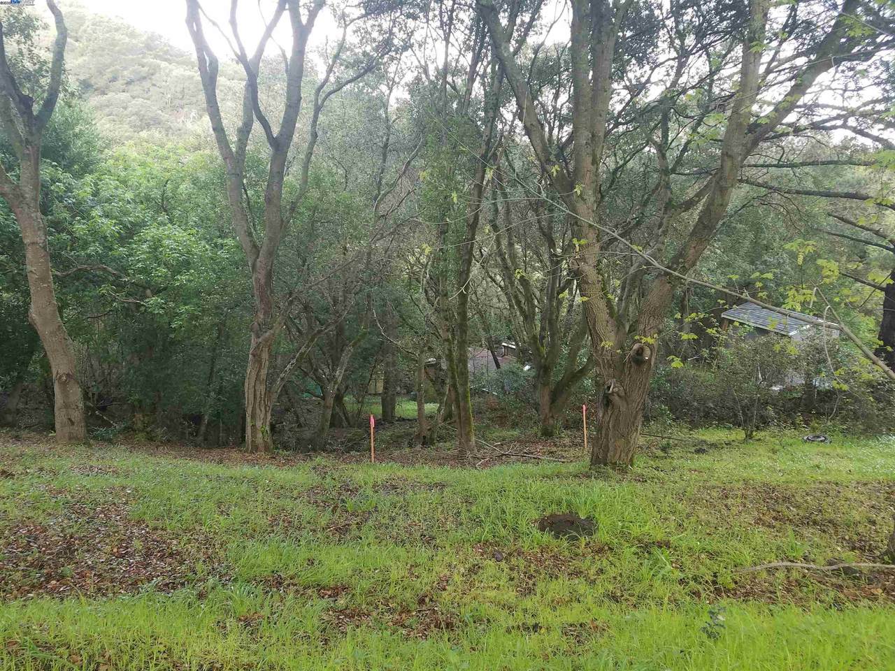 12 Vista Del Orinda - Photo 1