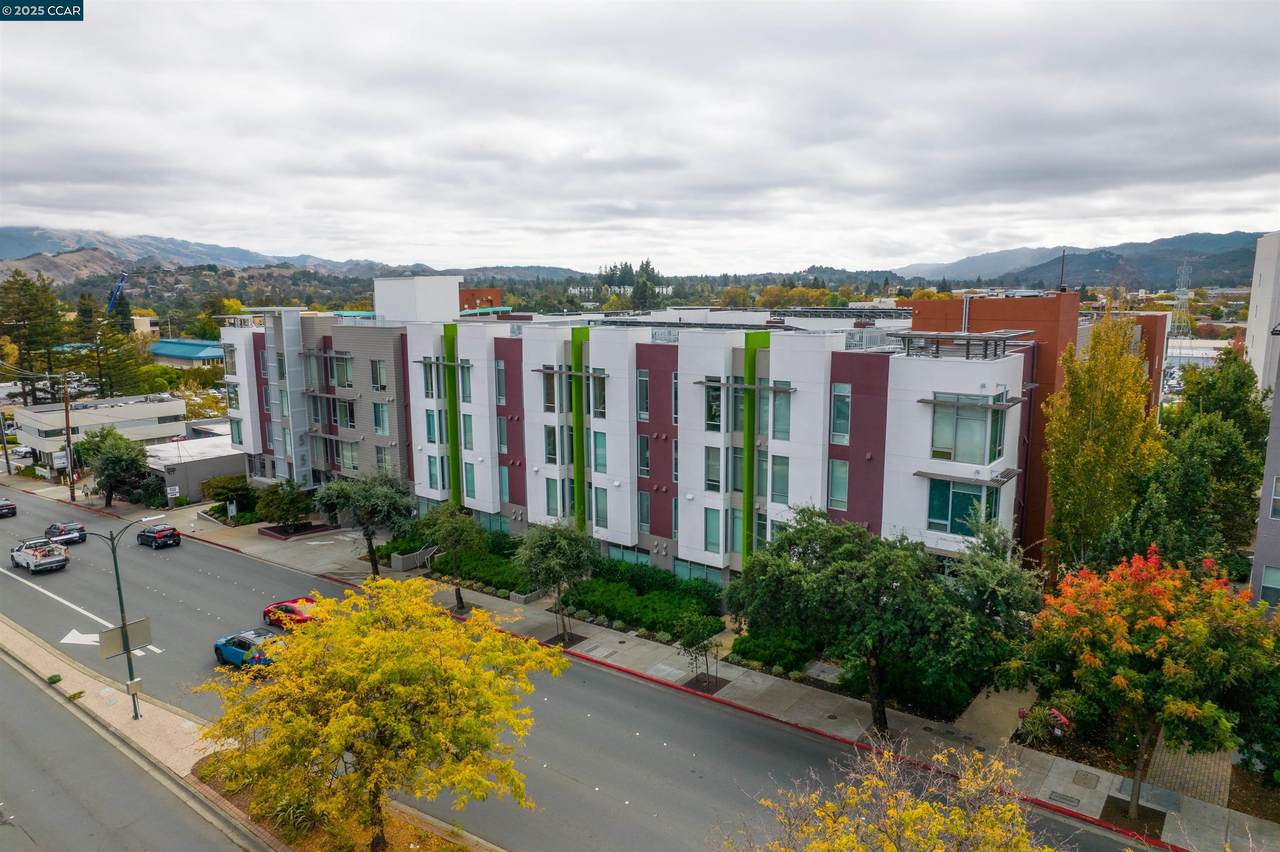 555 Ygnacio Valley Rd 204 - Photo 1