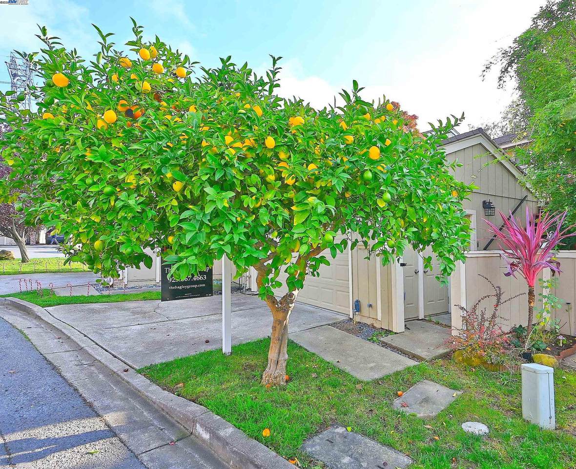 405 Thistle Cir - Photo 1