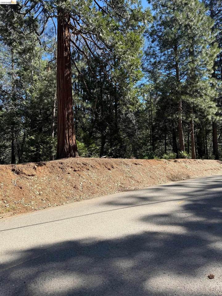 000 Lot 498 Oxbow Lane - Photo 1