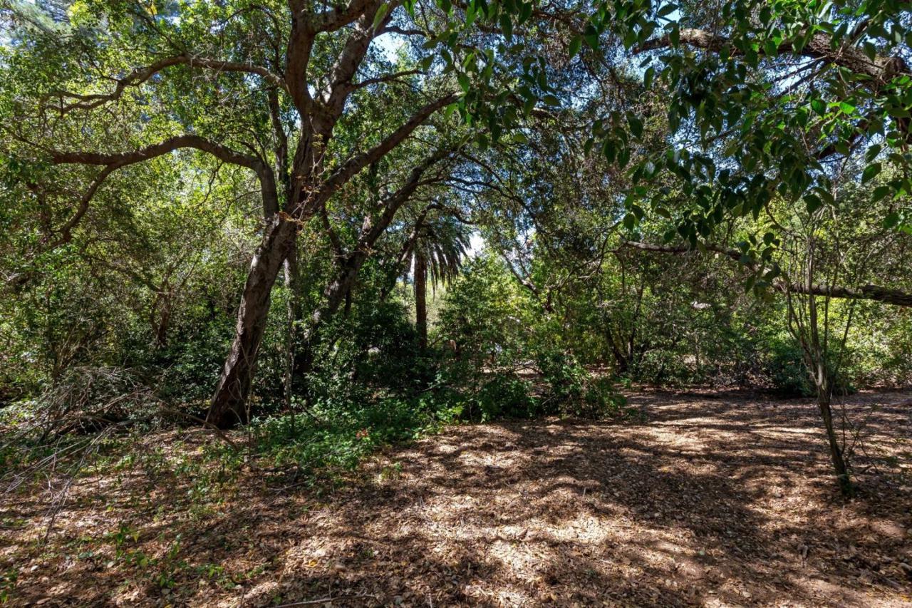 0 Monte Vista/Montewood Dr - Photo 1