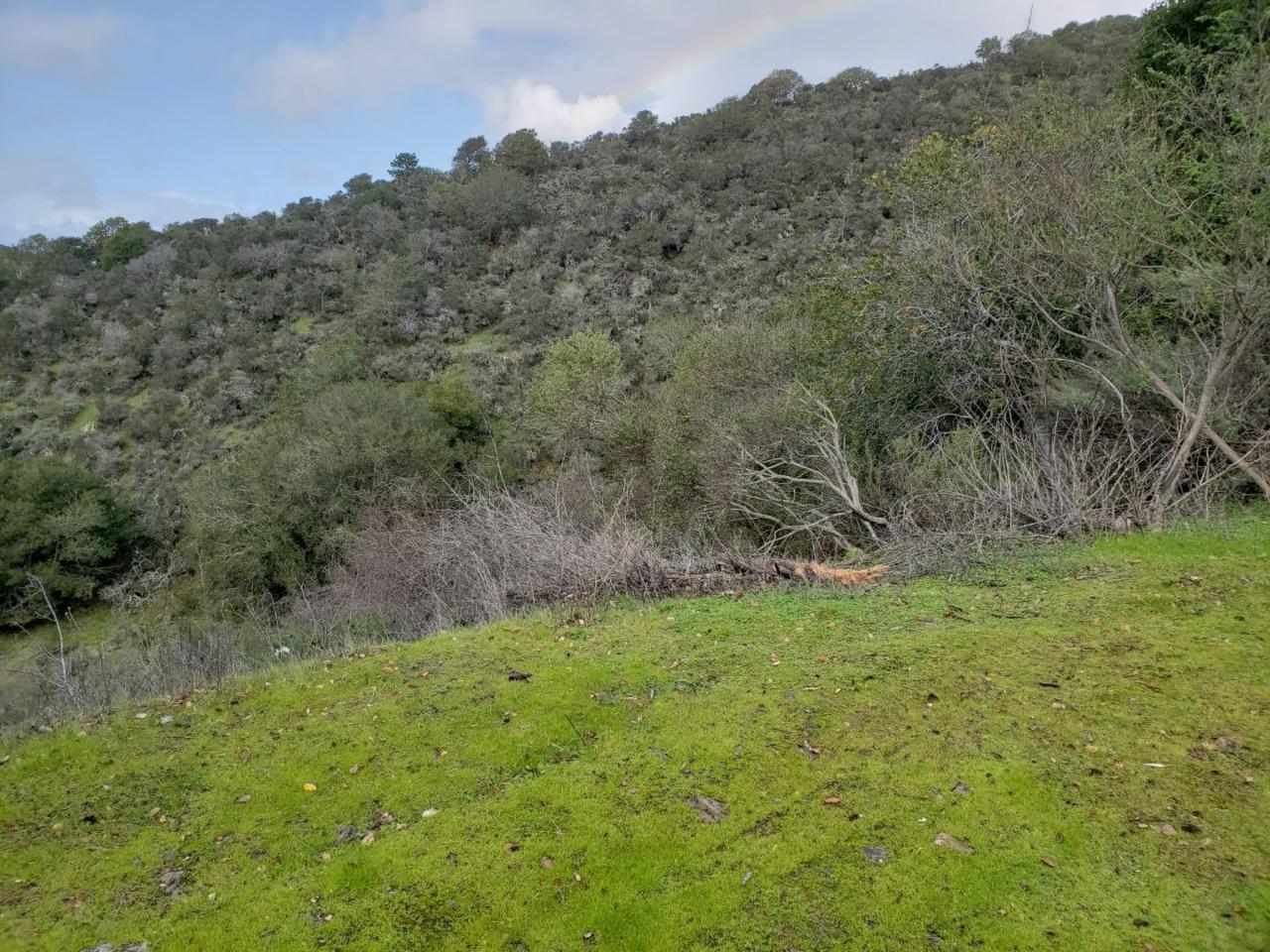 043164020 Alhambra Dr - Photo 1
