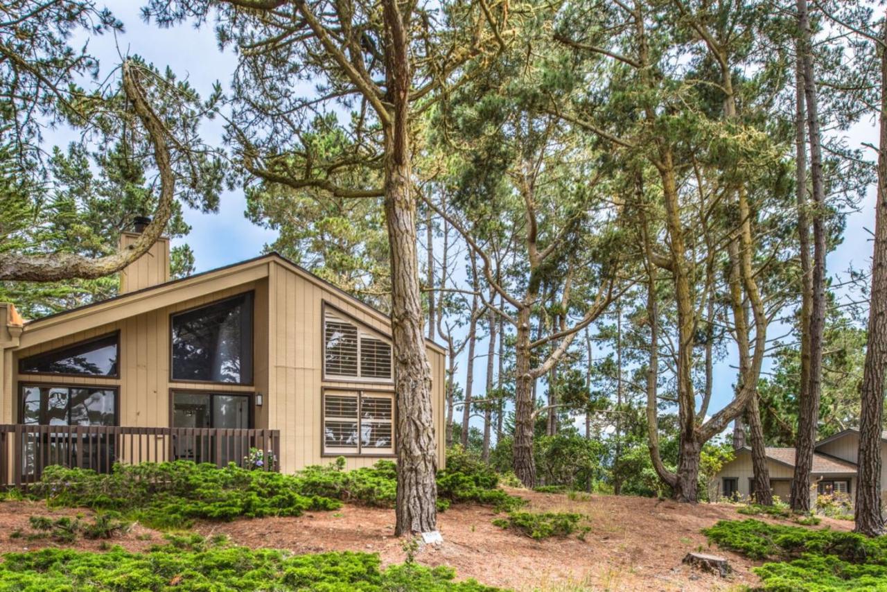 13 Mountain Shadow Ln - Photo 1