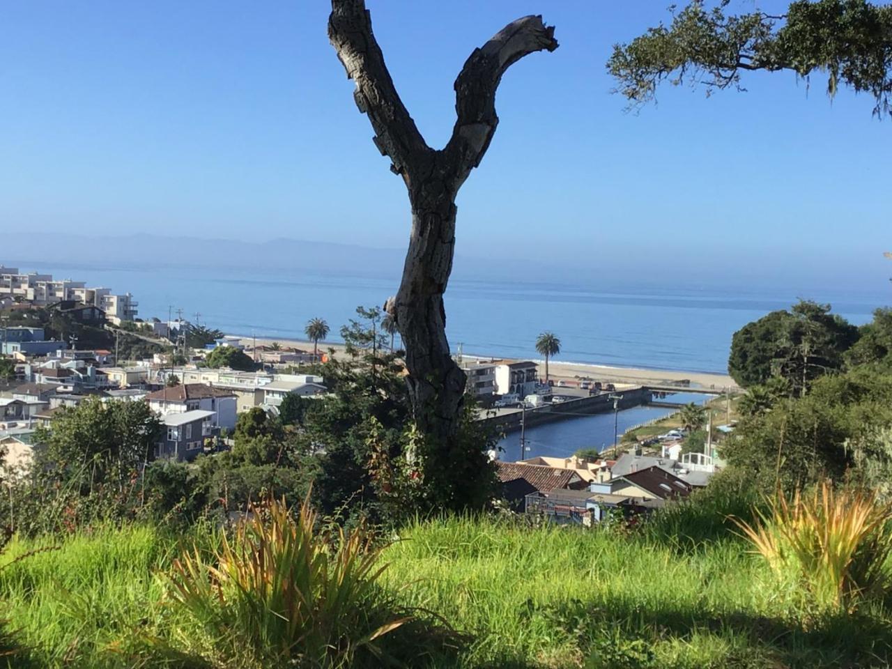 02 Sea Terrace - Photo 1