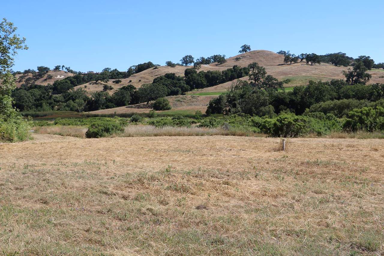 34222 Robinson Canyon Rd - Photo 1