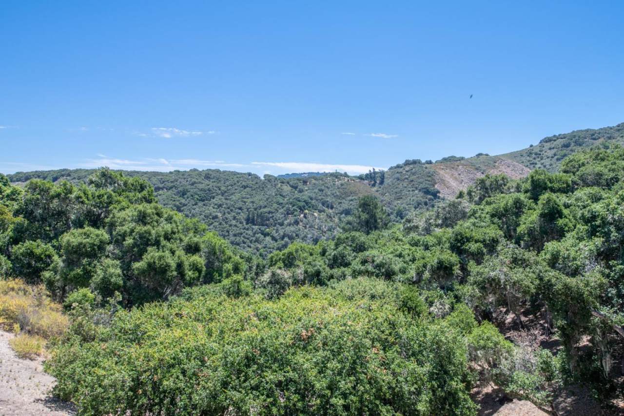 245 Calle De Los Agrinemsors - Photo 1