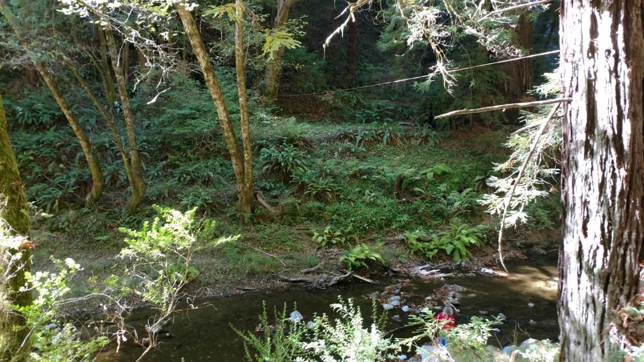 00 Pescadero Creek Rd - Photo 1