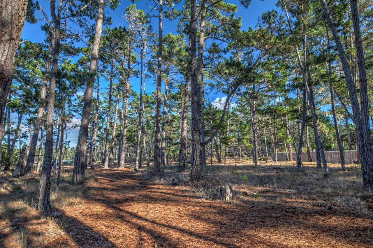 1272 Viscaino Rd - Photo 1