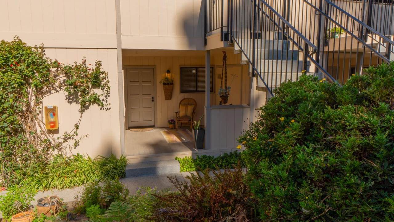 250 Forest Ridge Rd 11 - Photo 1